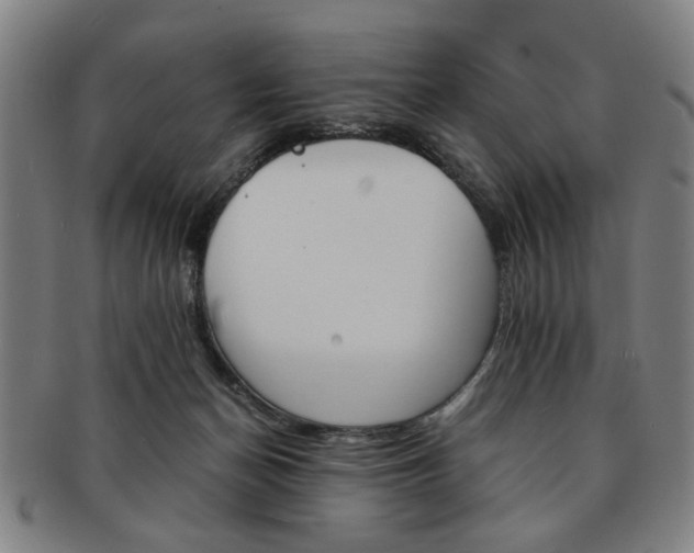 X0000091650174200708231018