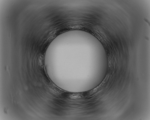 X0000091650175200708231018
