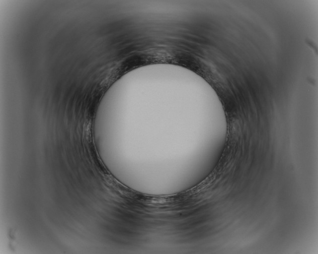 X0000091650177200708231018