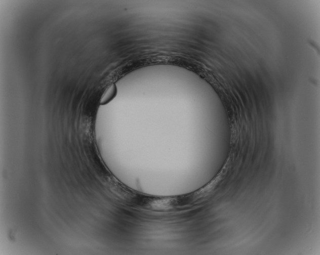 X0000091650178200708231018