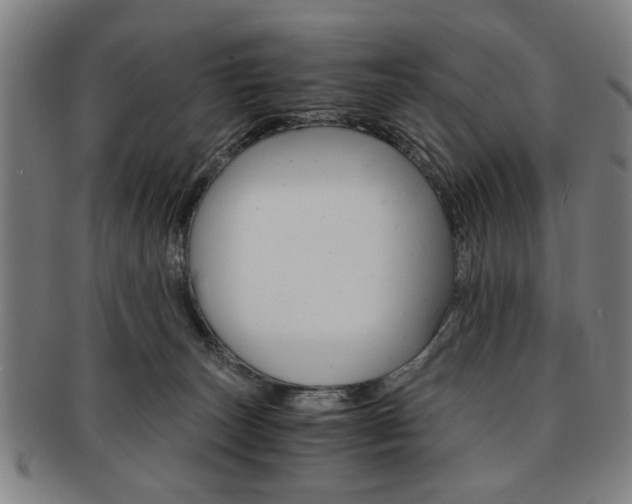X0000091650179200708231018