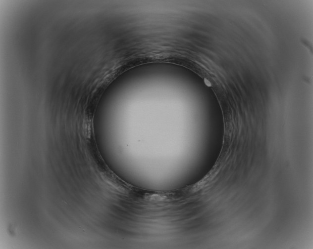 X0000091650180200708231018