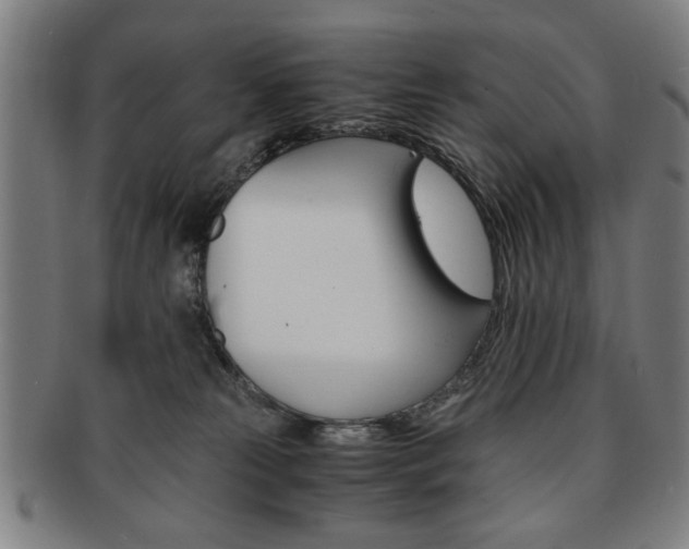 X0000091650181200708231018