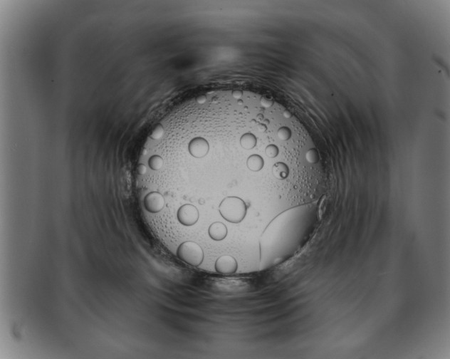 X0000091650183200708231018