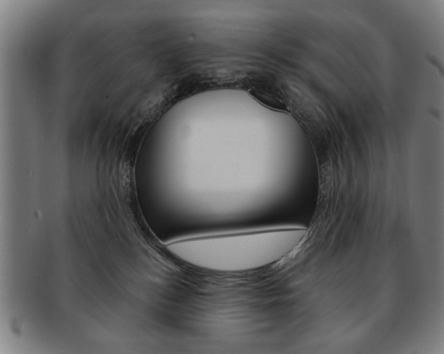 X0000091650184200708231018