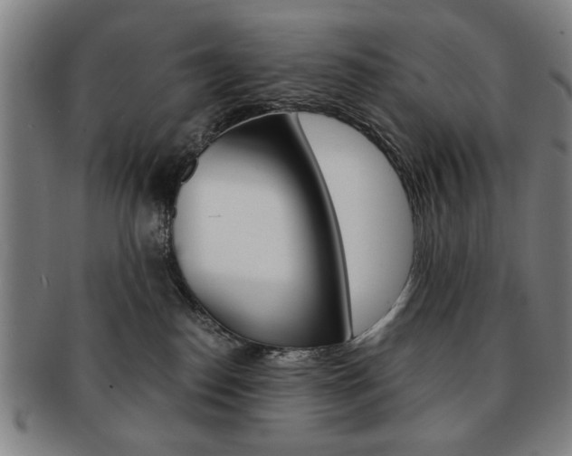 X0000091650186200708231018