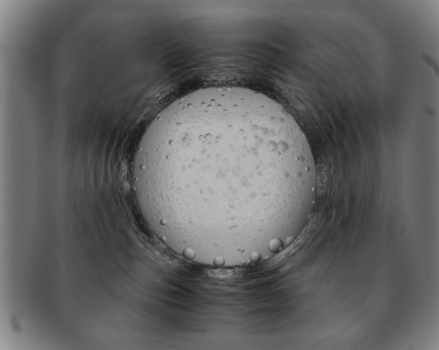 X0000091650187200708231018