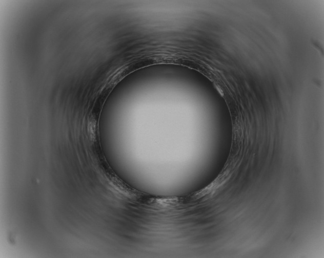 X0000091650188200708231018