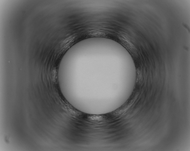 X0000091650189200708231018