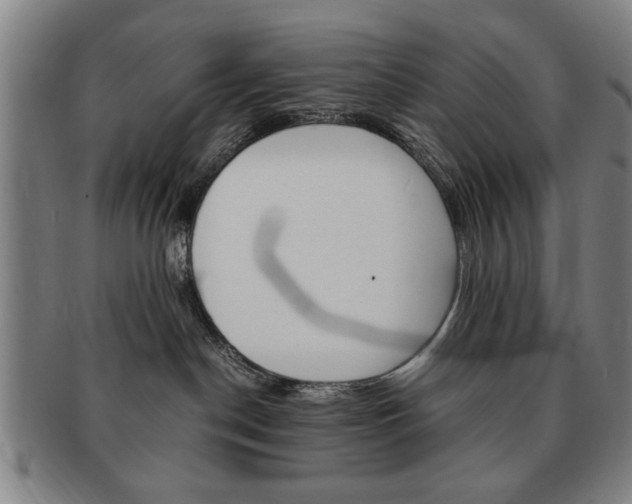 X0000091650190200708231018