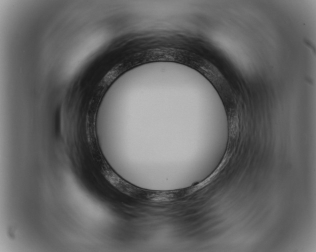 X0000091650191200708231018