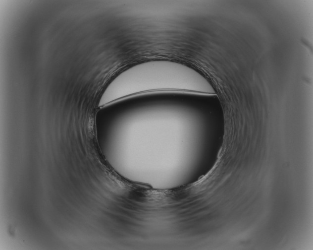 X0000091650192200708231018