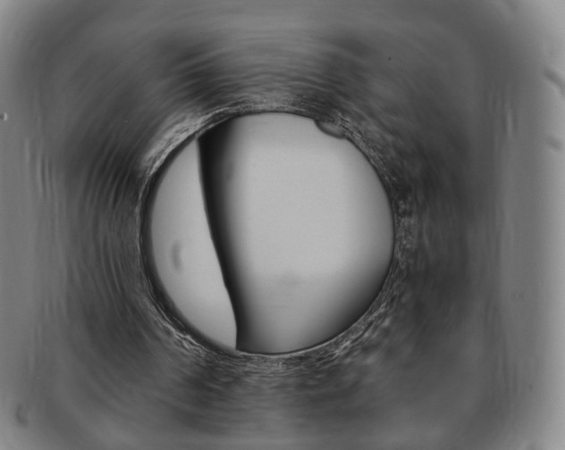 X0000091650194200708231017