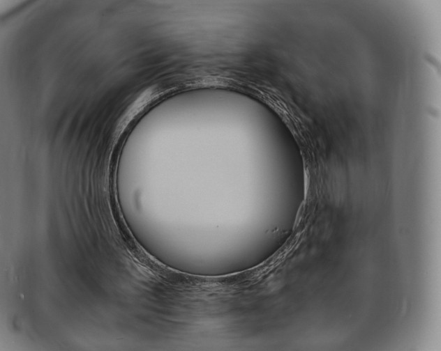 X0000091650195200708231017