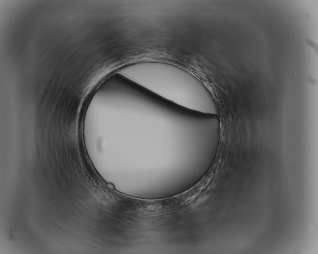 X0000091650196200708231017