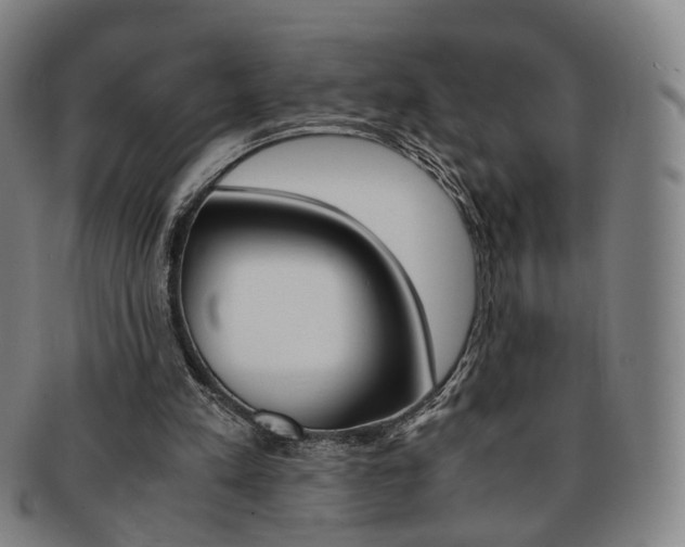 X0000091650197200708231017