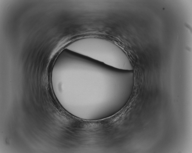 X0000091650198200708231017