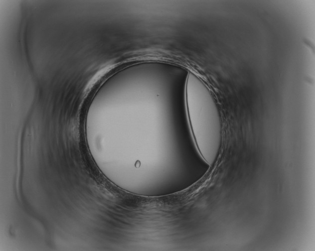 X0000091650200200708231017