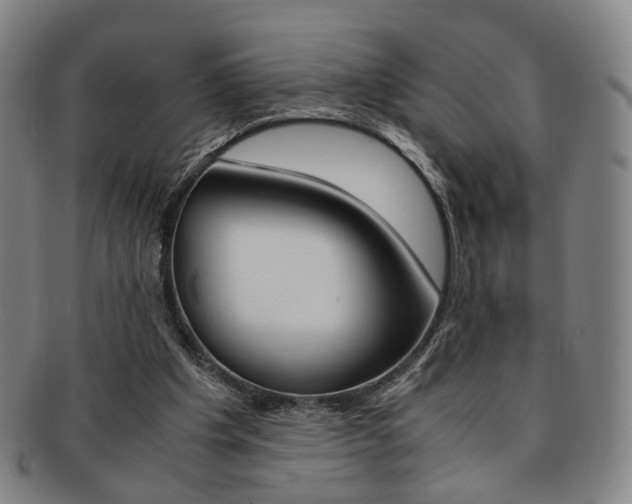 X0000091650201200708231017