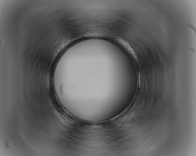 X0000091650204200708231017