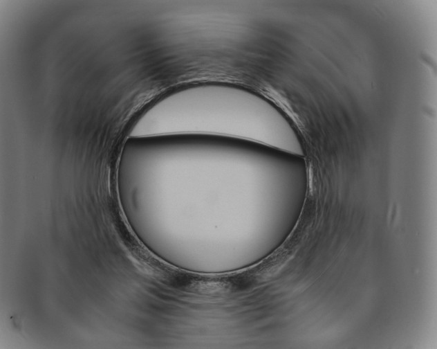 X0000091650205200708231017