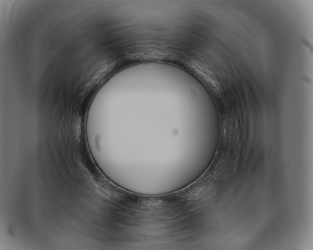 X0000091650206200708231017