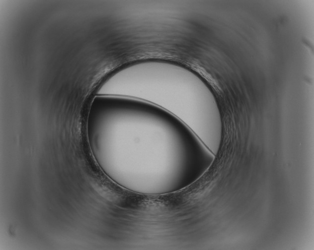 X0000091650207200708231017