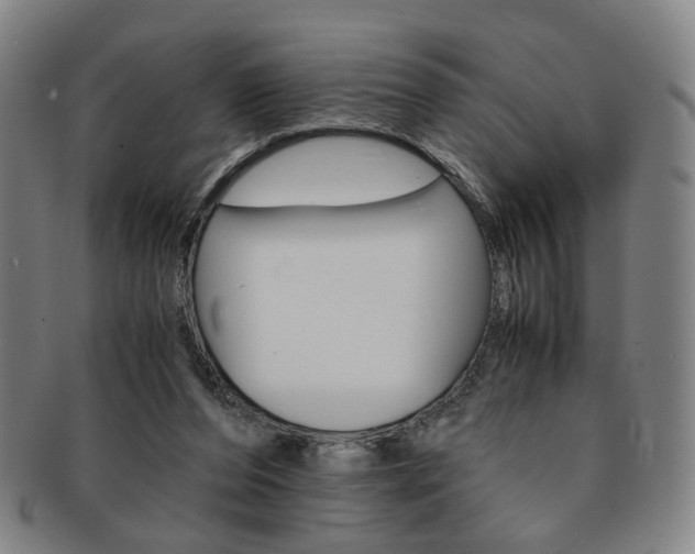 X0000091650208200708231017