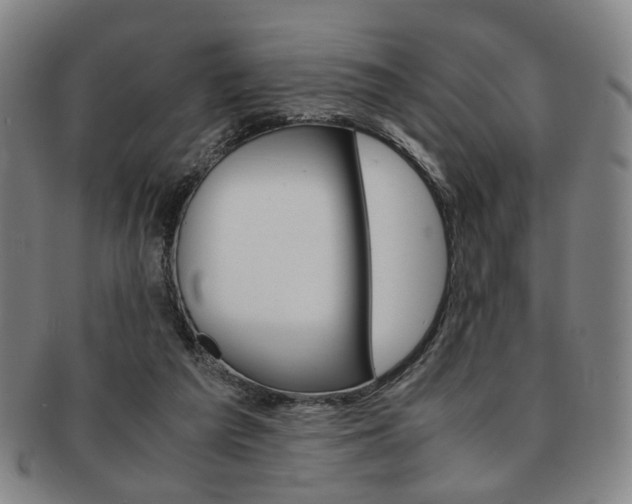 X0000091650209200708231017