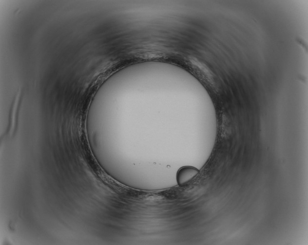 X0000091650210200708231017