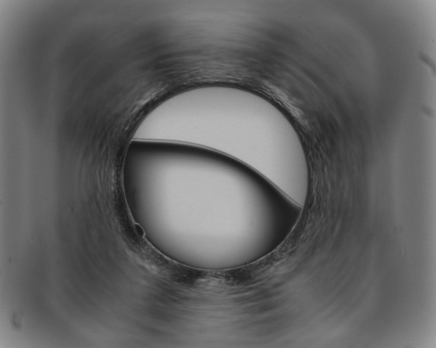 X0000091650211200708231017