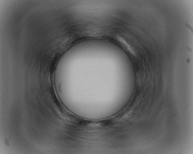 X0000091650213200708231017
