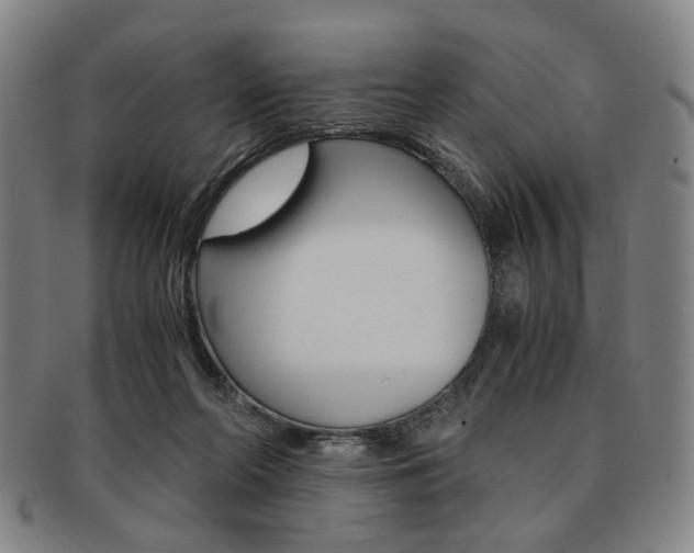 X0000091650214200708231017