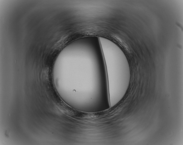 X0000091650217200708231017
