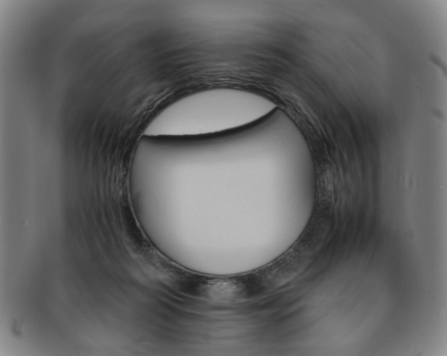 X0000091650218200708231017