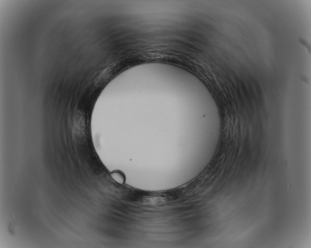 X0000091650220200708231017