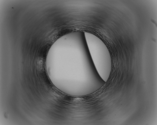 X0000091650222200708231017