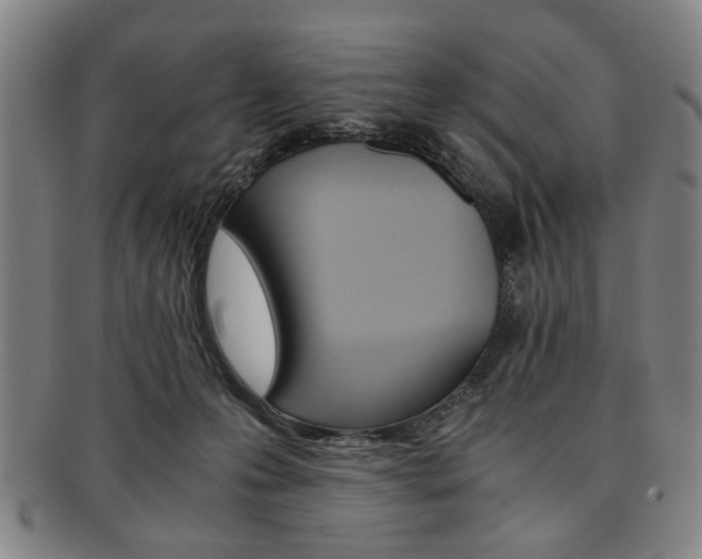 X0000091650223200708231017