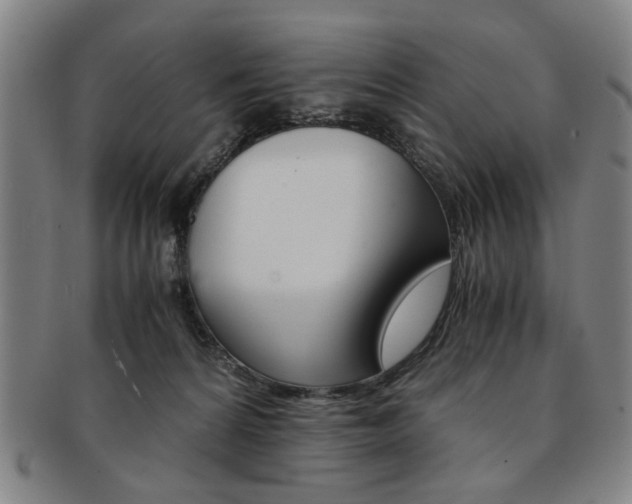 X0000091650224200708231017