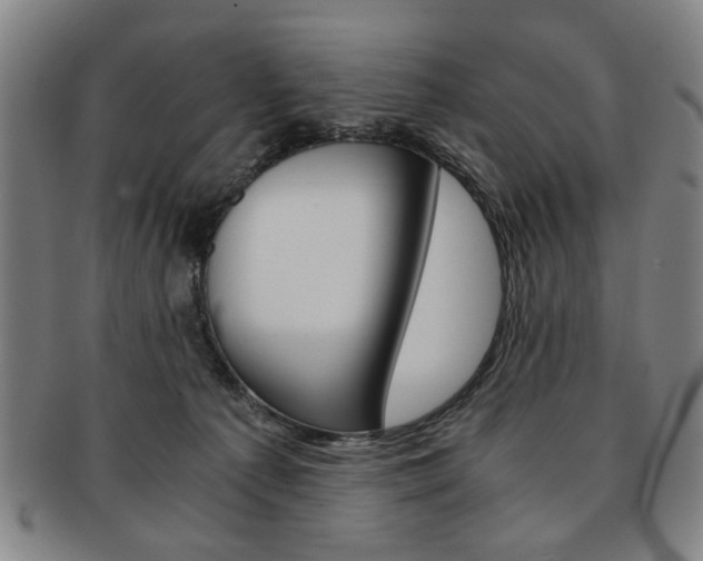 X0000091650225200708231017