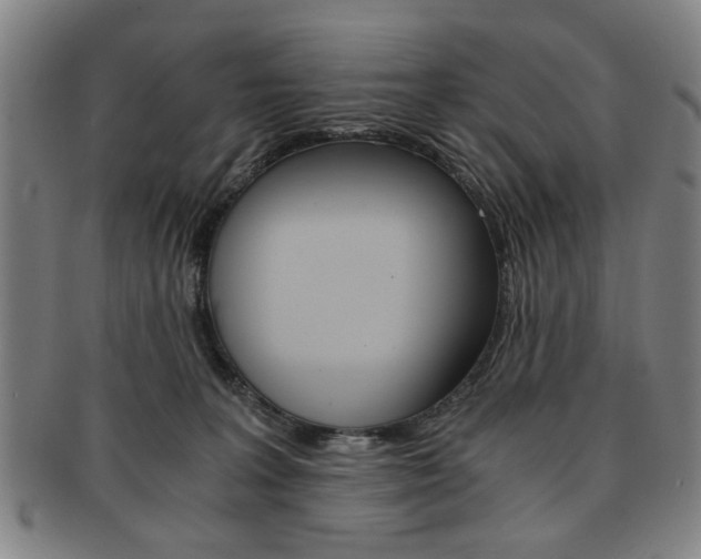 X0000091650227200708231017