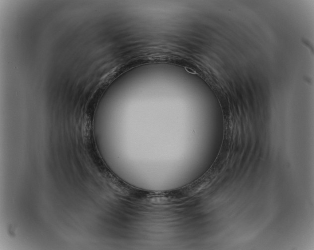 X0000091650228200708231017