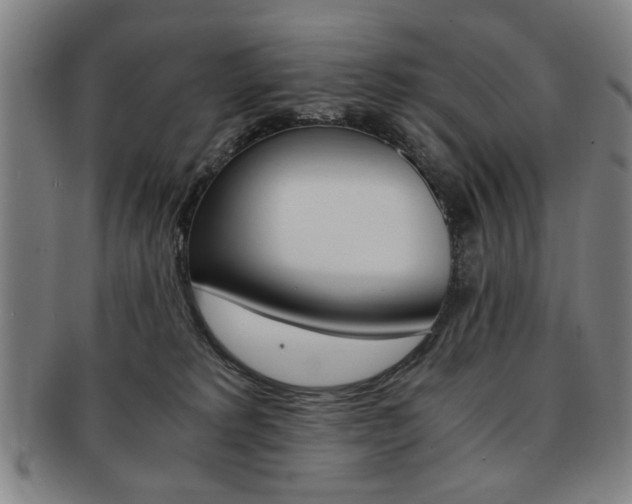 X0000091650229200708231017