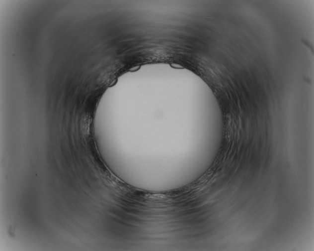 X0000091650230200708231017