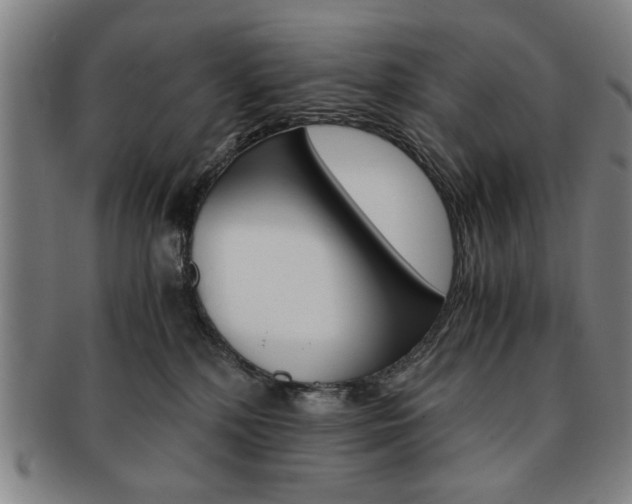 X0000091650232200708231017