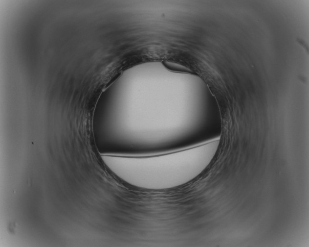 X0000091650233200708231017