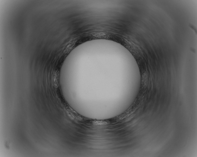 X0000091650234200708231017