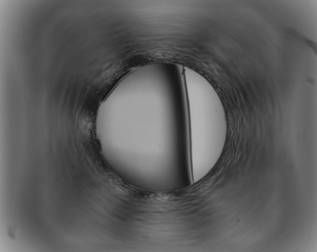 X0000091650235200708231017
