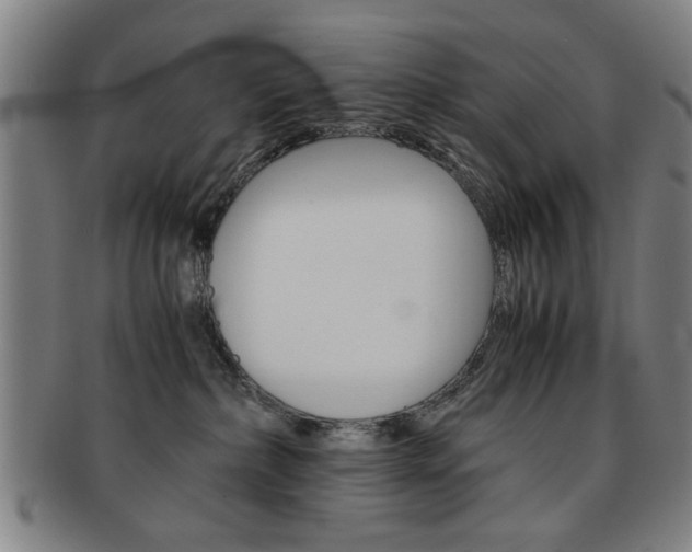 X0000091650236200708231017