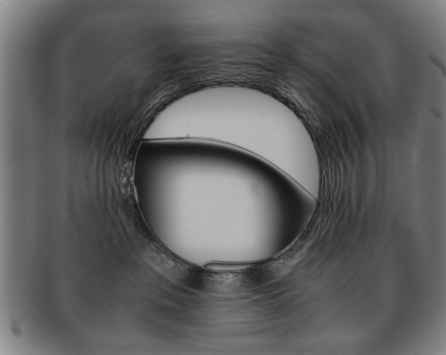 X0000091650237200708231017